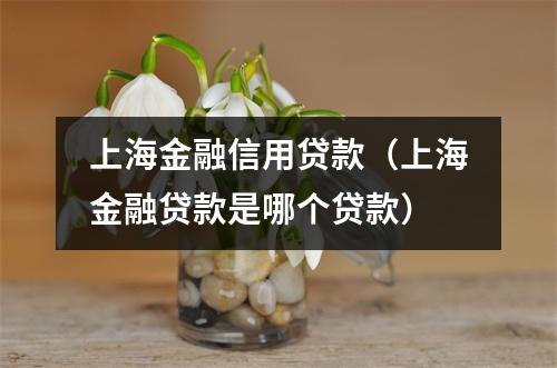 上海金融信用贷款（上海金融贷款是哪个贷款）