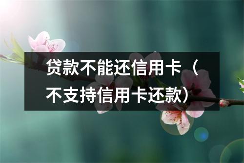 贷款不能还信用卡（不支持信用卡还款）