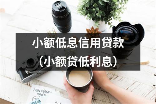 小额低息信用贷款（小额贷低利息）
