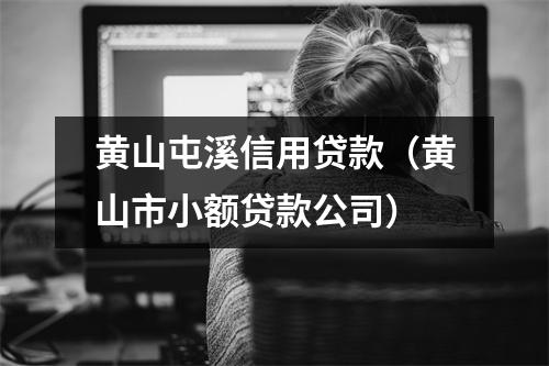黄山屯溪信用贷款（黄山市小额贷款公司）