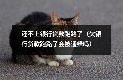 还不上银行贷款跑路了（欠银行贷款跑路了会被通缉吗）