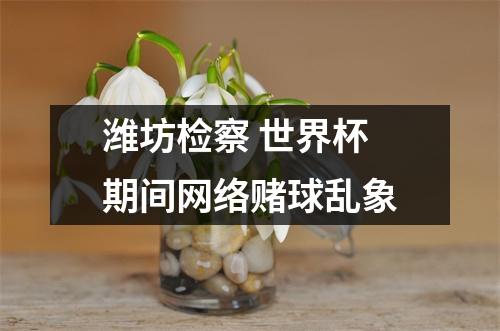 潍坊检察 世界杯期间网络赌球乱象