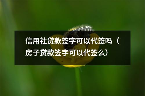 信用社贷款签字可以代签吗(房子贷款签字可以代签么)