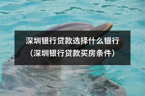 深圳银行贷款选择什么银行（深圳银行贷款买房条件）