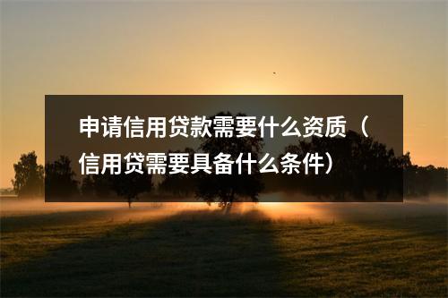 申请信用贷款需要什么资质(信用贷需要具备什么条件)