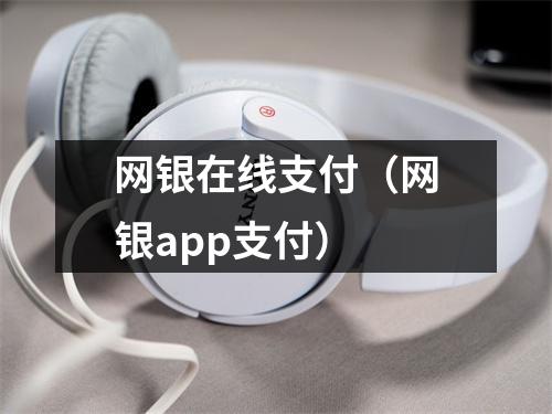 网银在线支付（网银app支付）
