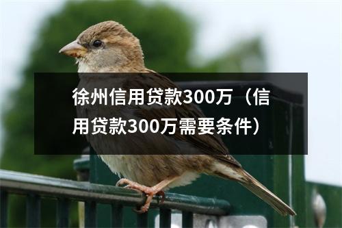 徐州信用贷款300万（信用贷款300万需要条件）