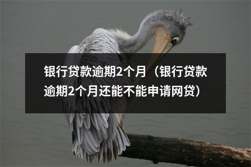 银行贷款逾期2个月(银行贷款逾期2个月还能不能申请网贷)