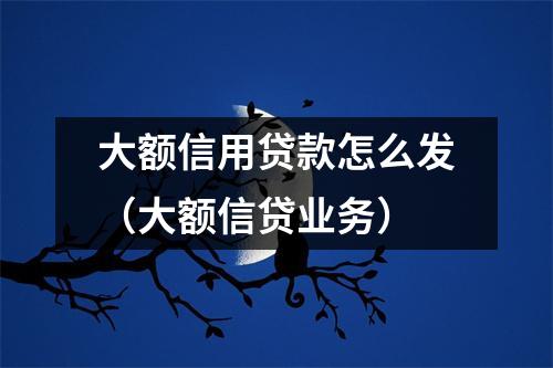 大额信用贷款怎么发（大额信贷业务）