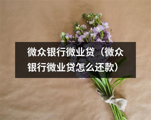 微众银行微业贷（微众银行微业贷怎么还款）