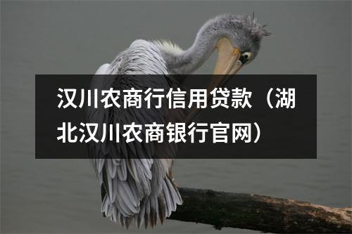 汉川农商行信用贷款（湖北汉川农商银行官网）
