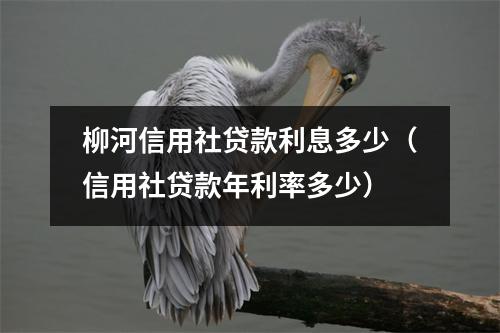 柳河信用社贷款利息多少(信用社贷款年利率多少)