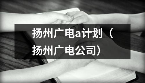 扬州广电a计划（扬州广电公司）