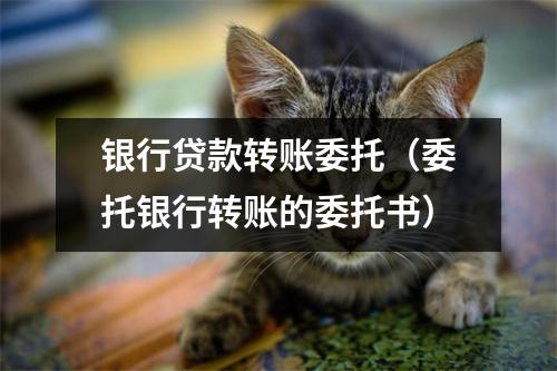 银行贷款转账委托（委托银行转账的委托书）