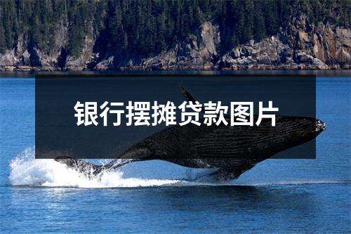银行摆摊贷款图片