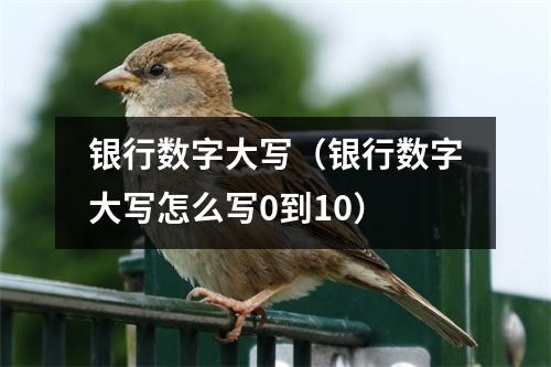 银行数字大写(银行数字大写怎么写0到10)