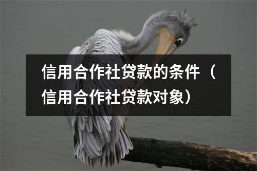 信用合作社贷款的条件（信用合作社贷款对象）