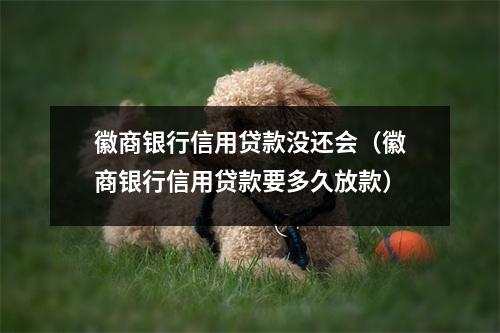 徽商银行信用贷款没还会（徽商银行信用贷款要多久放款）