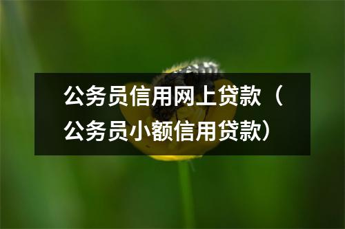 公务员信用网上贷款（公务员小额信用贷款）