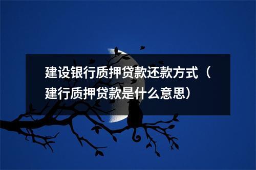 建设银行质押贷款还款方式（建行质押贷款是什么意思）