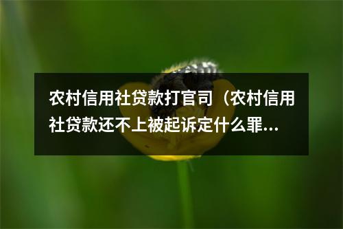农村信用社贷款打官司(农村信用社贷款还不上被起诉定什么罪)