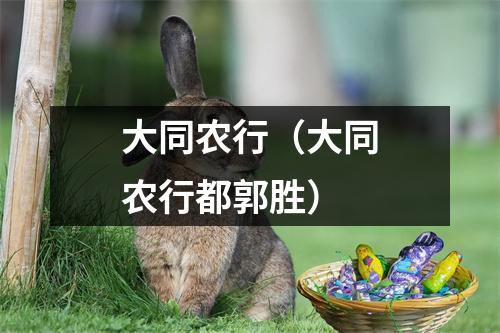 大同农行(大同农行都郭胜)