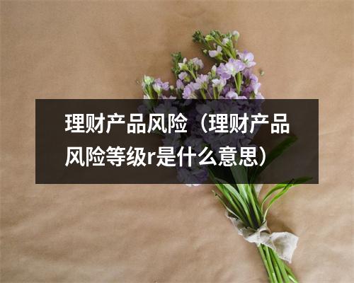 理财产品风险（理财产品风险等级r是什么意思）