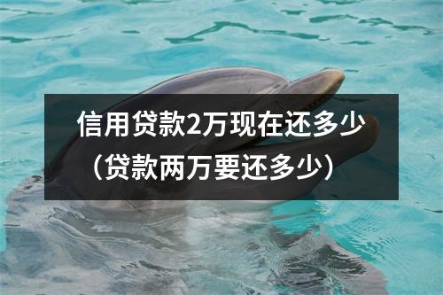 信用贷款2万现在还多少（贷款两万要还多少）