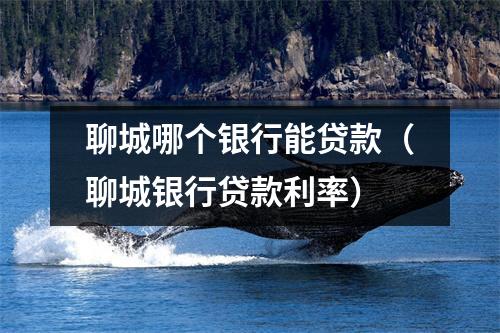 聊城哪个银行能贷款（聊城银行贷款利率）