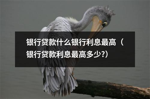 银行贷款什么银行利息最高（银行贷款利息最高多少?）