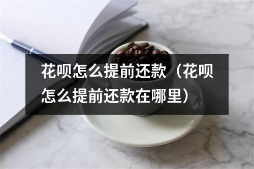 花呗怎么提前还款（花呗怎么提前还款在哪里）