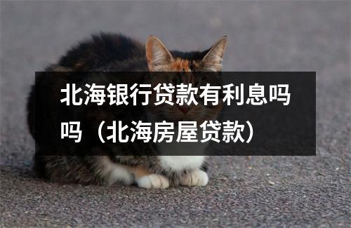 北海银行贷款有利息吗吗（北海房屋贷款）