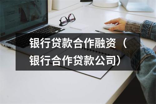 银行贷款合作融资（银行合作贷款公司）