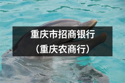 重庆市招商银行（重庆农商行）