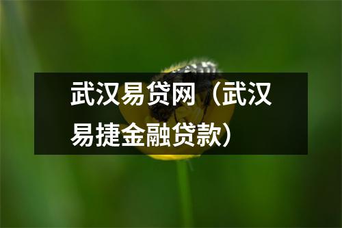 武汉易贷网（武汉易捷金融贷款）