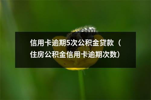 信用卡逾期5次公积金贷款（住房公积金信用卡逾期次数）