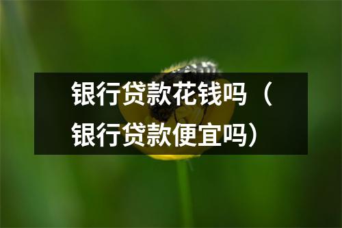 银行贷款花钱吗（银行贷款便宜吗）