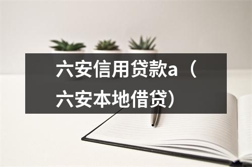 六安信用贷款a（六安本地借贷）