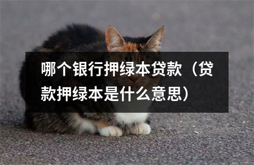 哪个银行押绿本贷款（贷款押绿本是什么意思）