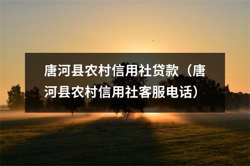 唐河县农村信用社贷款（唐河县农村信用社客服电话）