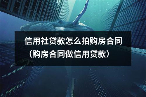 信用社贷款怎么拍购房合同（购房合同做信用贷款）