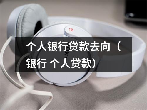 个人银行贷款去向(银行 个人贷款)