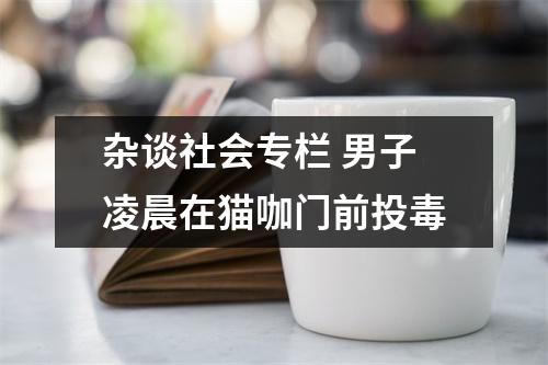 杂谈社会专栏 男子凌晨在猫咖门前投毒