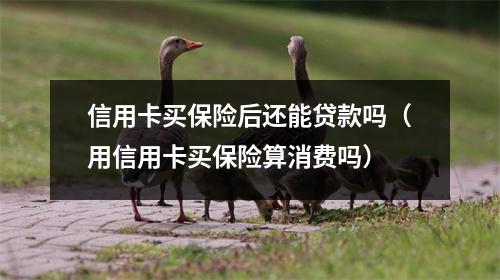 信用卡买保险后还能贷款吗（用信用卡买保险算消费吗）