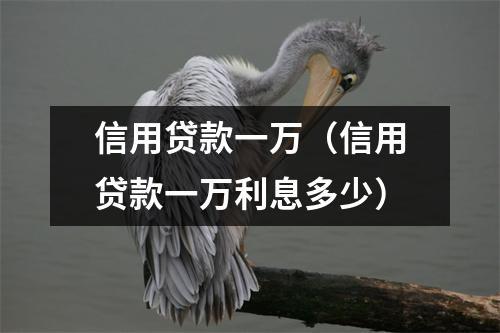 信用贷款一万（信用贷款一万利息多少）