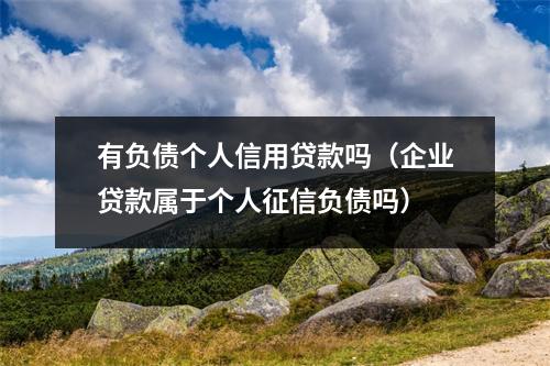 有负债个人信用贷款吗（企业贷款属于个人征信负债吗）