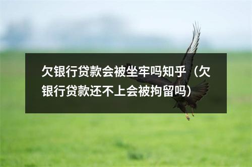 欠银行贷款会被坐牢吗知乎（欠银行贷款还不上会被拘留吗）