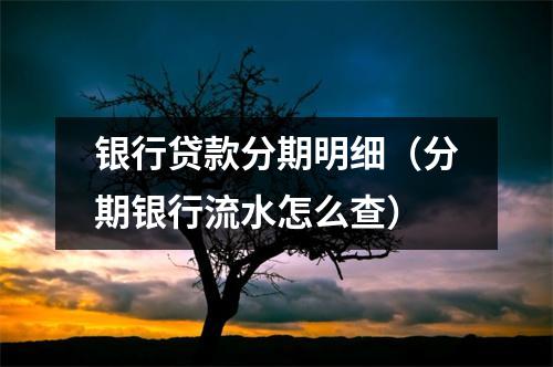 银行贷款分期明细（分期银行流水怎么查）