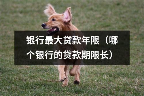 银行最大贷款年限（哪个银行的贷款期限长）