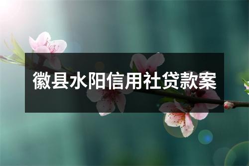 徽县水阳信用社贷款案